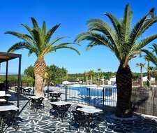 terrasse et palmiers avec vue sur la piscine extérieure du camping L'Orangeraie