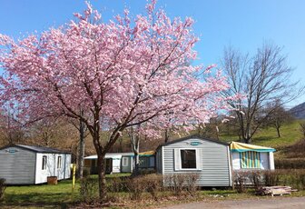 Camping Paradis Le Giessen