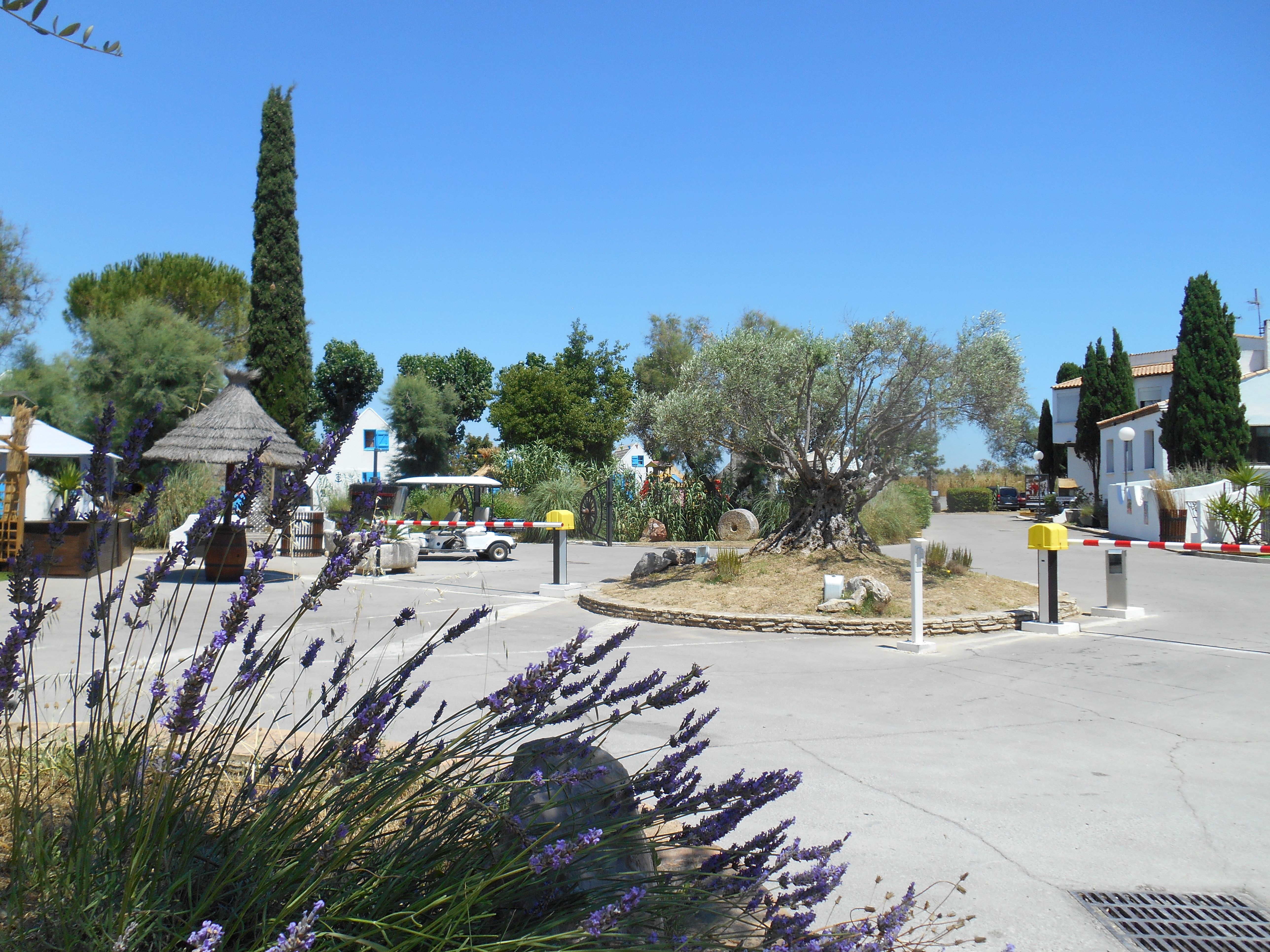 France - Méditerranée Ouest - Lattes - Camping Le Camarguais 3*